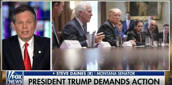 Fox and Friends